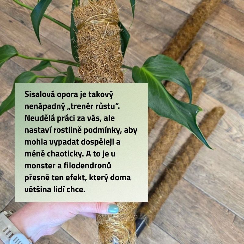 Sisalová opora mix velikostí